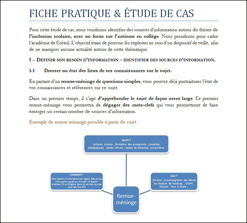 Fiche pratique et étude de cas, veille informationnelle (pdf 1,4 Mo) (nouvelle fenêtre)