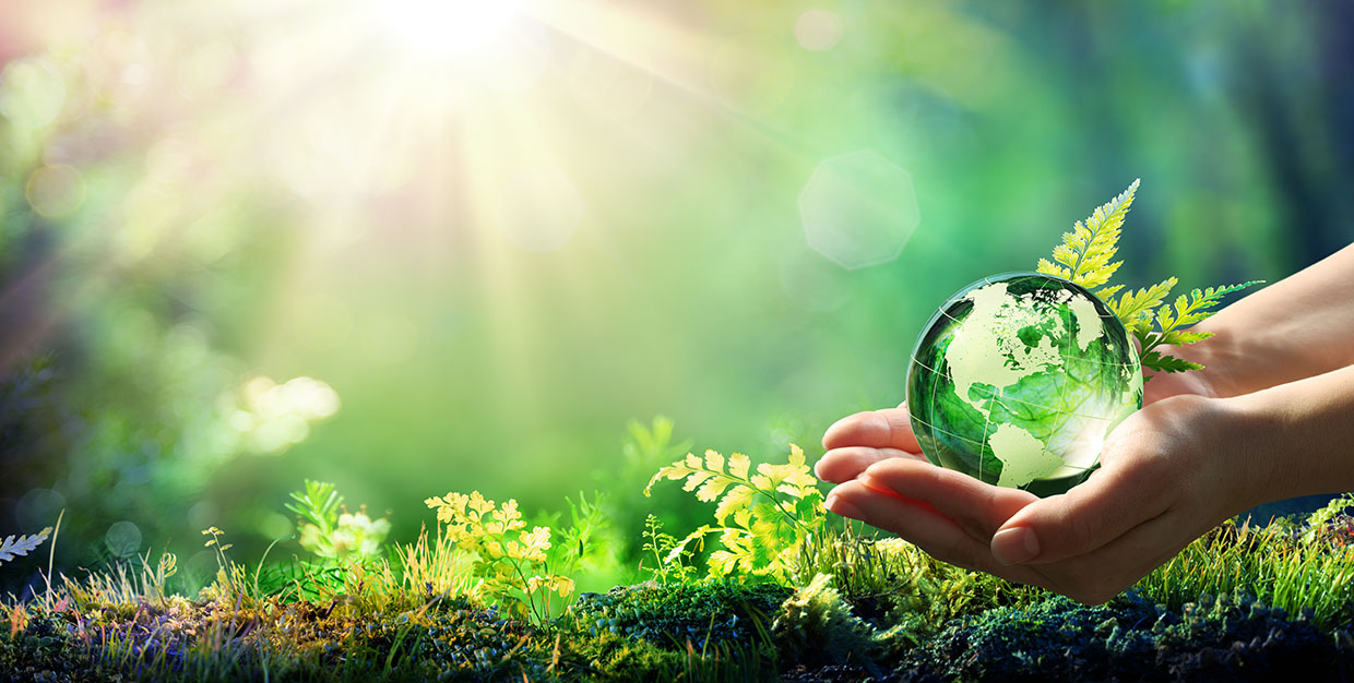 photo une main tient un globe terrestre transparent arrière plan nature écologie développement durable