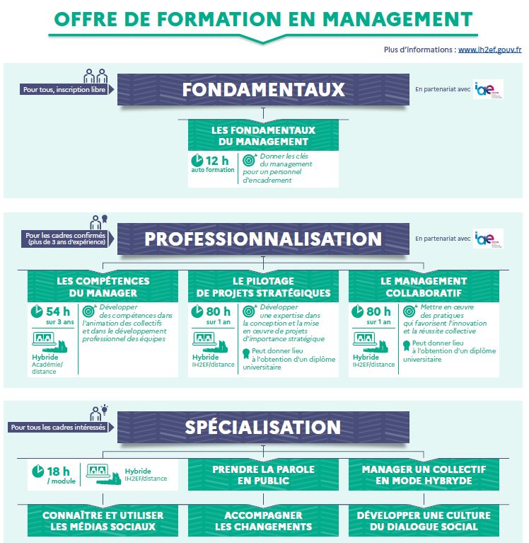 Infographie de l'offre de formation en management