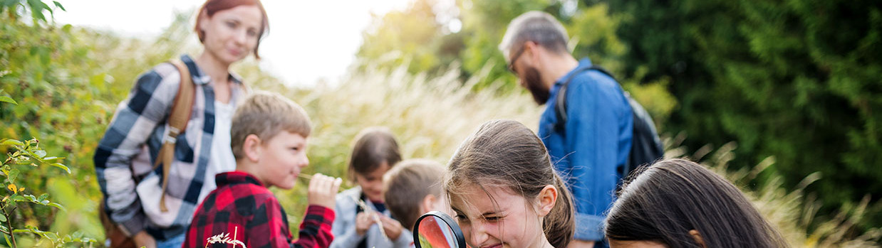 photo sortie voyage scolaire élèves et professeur nature sciences