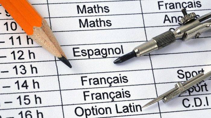 Photo agenda scolaire domaine disciplinaire emploi du temps