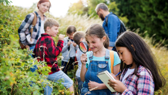 photo sortie voyage scolaire élèves et professeur nature sciences