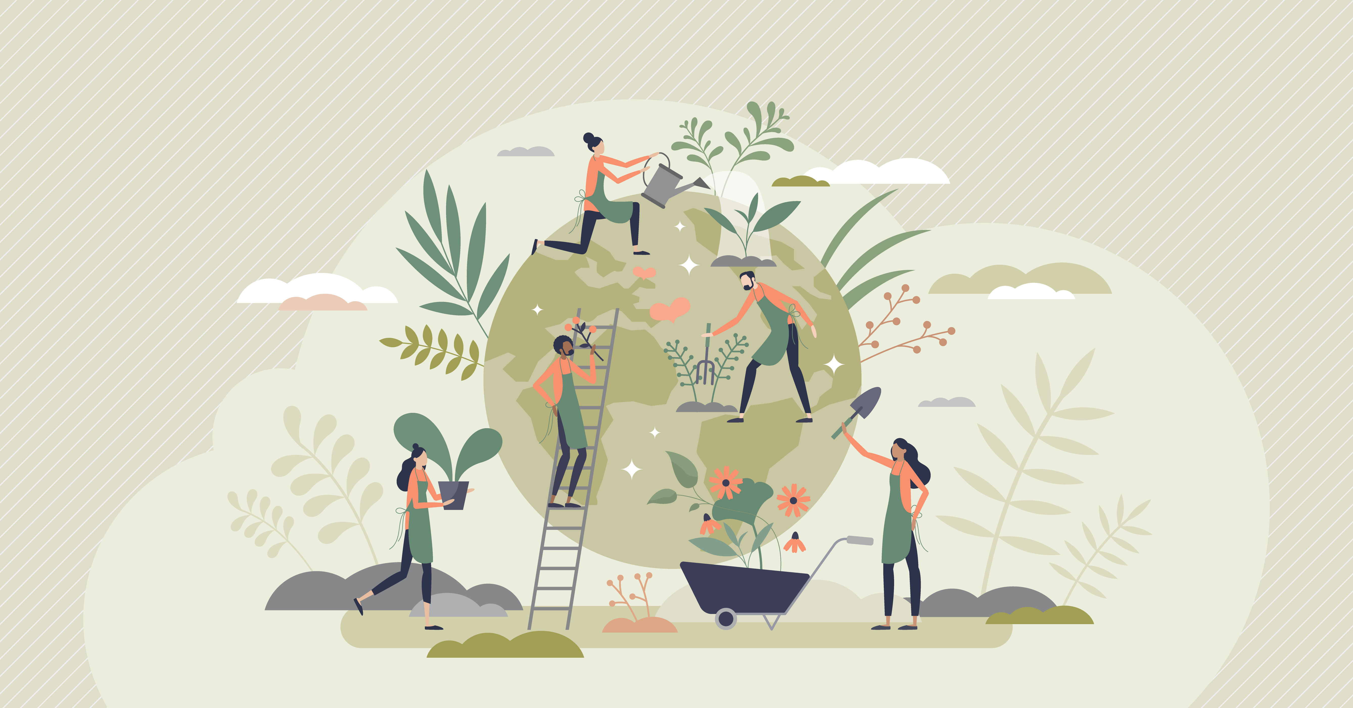 illustration formation biodiversité ESR